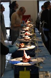 EACTS Fundamentals in cardiac surgery - Windsor