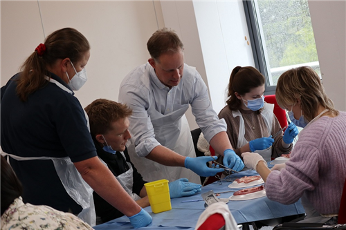 Tutor teaching the veterinary students