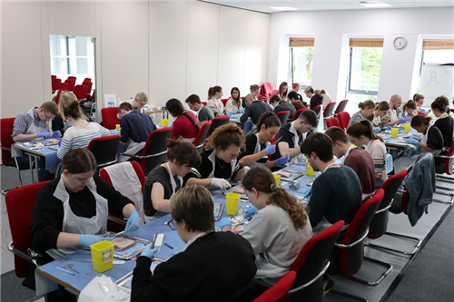 Veterinary students - Suture workshop