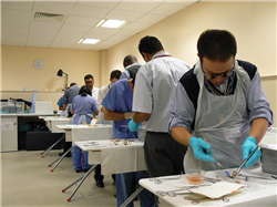 Small Wetlab Blackpool Victoria Hospital