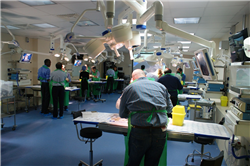 Cardiac Workshop at the Wetlab Centre in Coventry UK