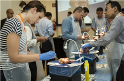 Mitral valve repair Wetlab EACTS Vienna 2013